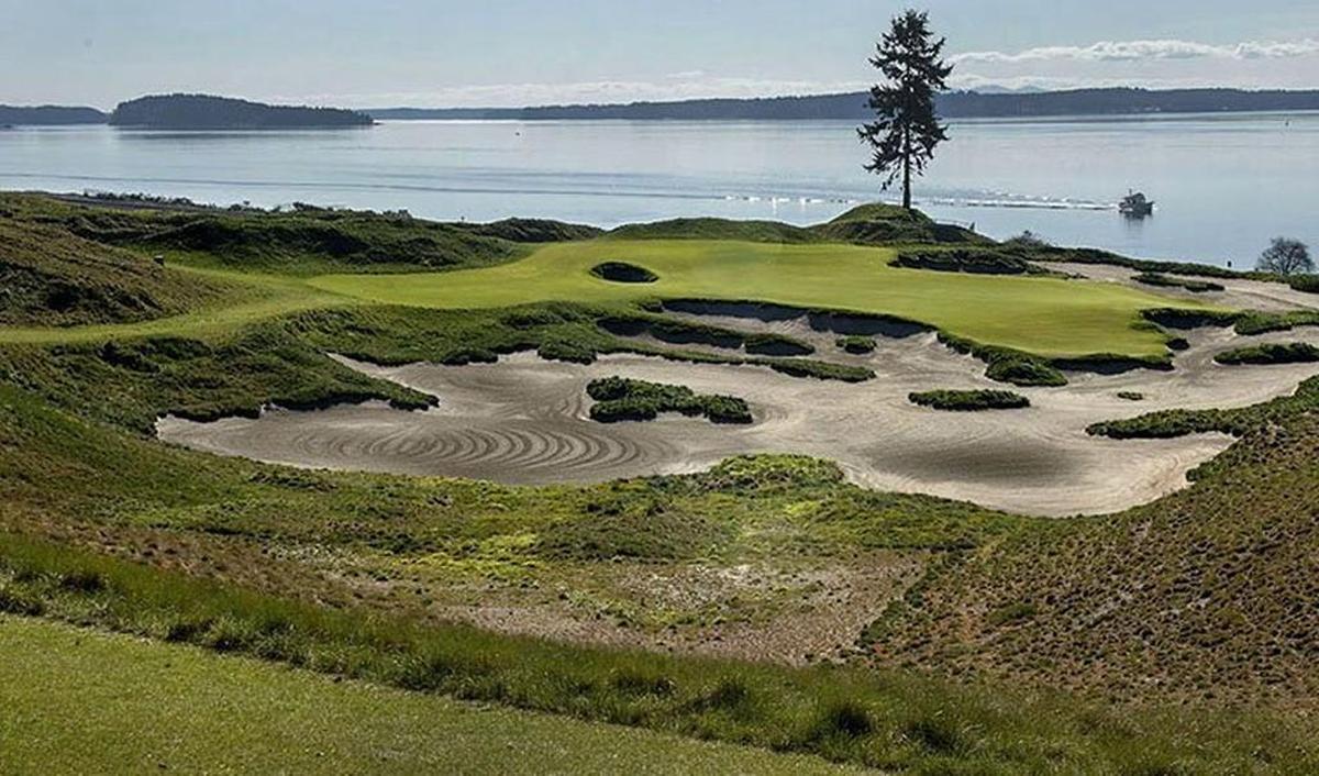 A sweeping view of Puget Sound framed by the iconic lone fir, the only tree on the Chambers Bay Golf Course, makes the 15th one of the most photographed holes.