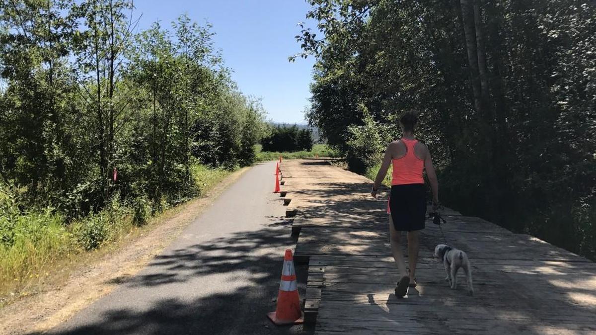 A walker uses a section of the Foothills Trail near Puyallup on July 14. A section of the trail is choked by equipment as Puget Sound Energy works to install a transmission line. A 1.4-mile section of the trail will be closed August 1-October 31.