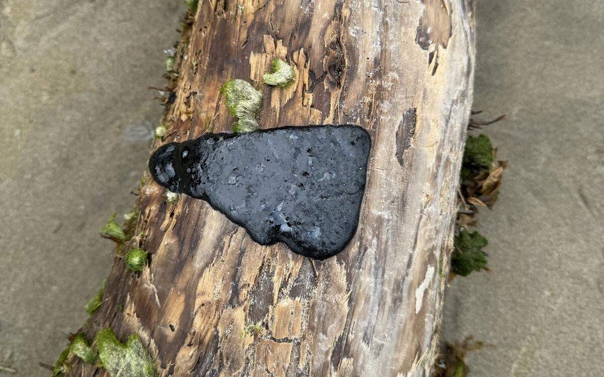 A patch of tar was found in Cannon Beach, Oregon. Officials are working to find out why tar is washing ashore Pacific Northwest coastlines.