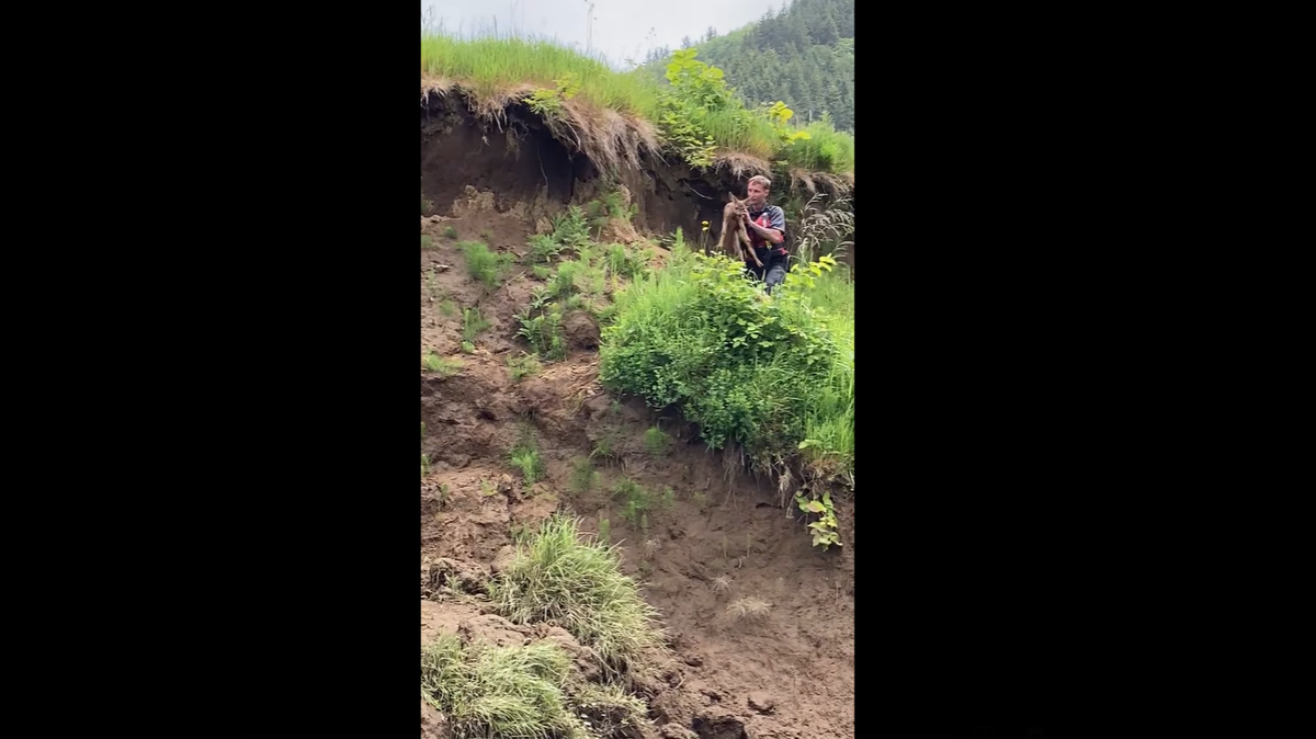 A Marine cadet helped reunite a fawn with its mom on June 9 at the Nehalem River in Tillamook County, Oregon. The deer had fallen down a cliff and couldn’t get back up on its own.