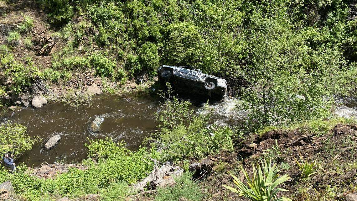 A man drove off an embankment and crashed into a steep ravine with his four dogs June 2 in Baker County, Oregon, deputies said.