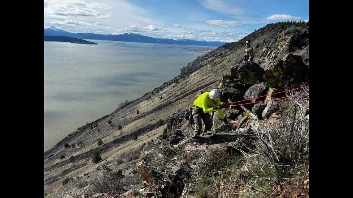A 17-year-old was rescued after getting stranded on a steep cliff while rescuing his family’s lost dog, Oregon deputies say.