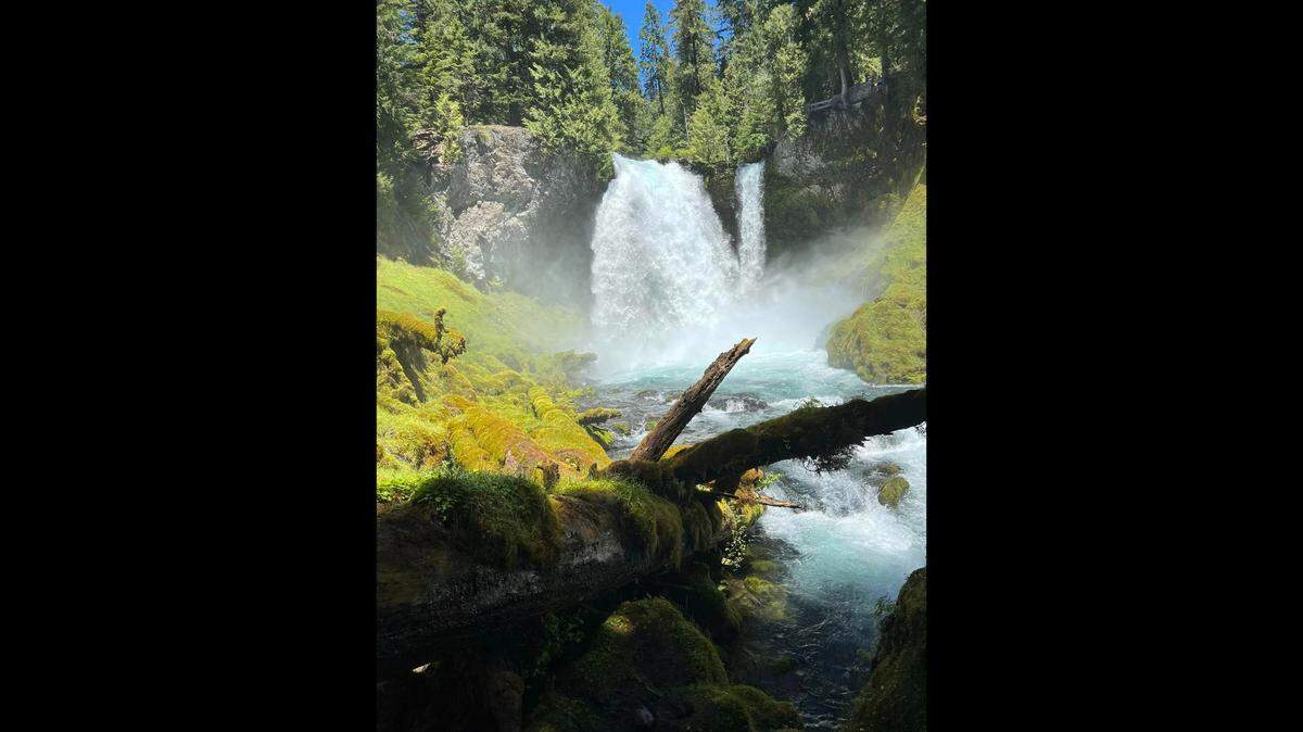 A man was rescued after he fell over a cliff and plunged 40 feet down a waterfall, Oregon fire officials say.
