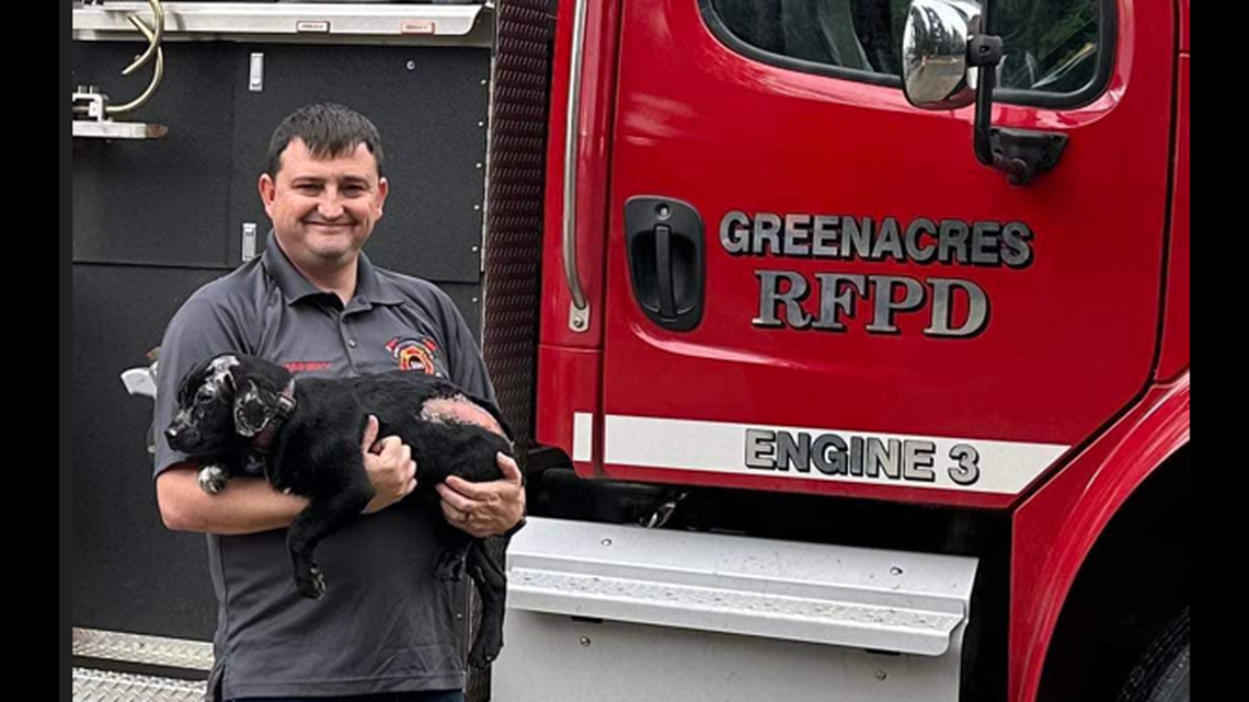 A firefighter adopted a puppy burned in a house fire and plans to have him teach children the importance of fire safety, according to an Oregon humane society.