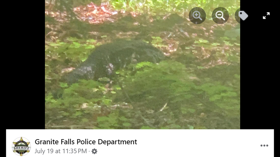 Law enforcement received an animal control complaint about a large reptile roaming the woods of Washington and warned the public. A property owner captured a photo of the animal.
