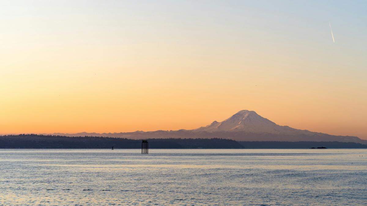 A baby sea creature was spotted swimming with what is likely its mom in Puget Sound in Washington, photos show.