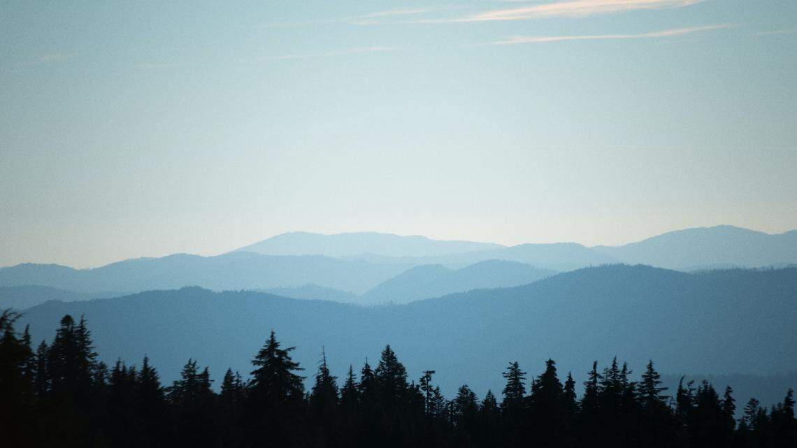 Three mushroom pickers got lost on Oct. 9 in Coos County, Oregon, authorities said. A deputy tracked them down using their GPS coordinates.