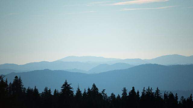 Three mushroom pickers got lost on Oct. 9 in Coos County, Oregon, authorities said. A deputy tracked them down using their GPS coordinates.