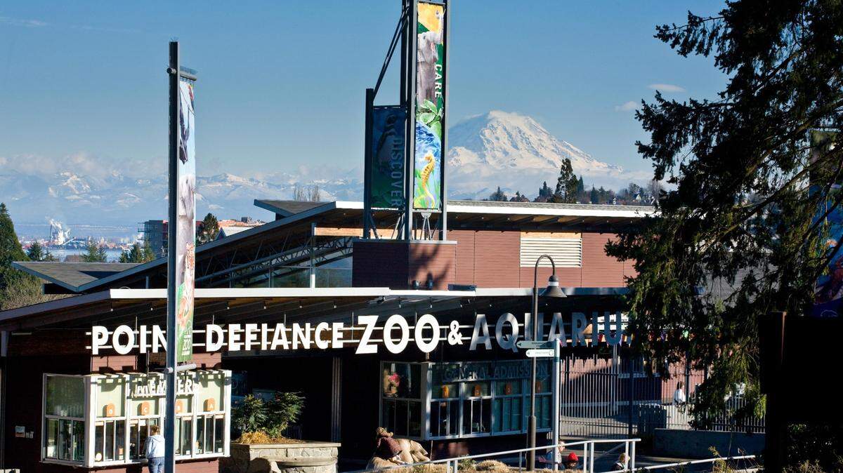 The endangered animal will be viewable in the Asian Forest Sanctuary at the Tacoma zoo.