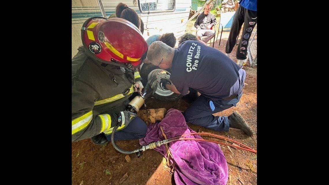 Firefighters work to free a cat that got his head stuck in a wheel on May 27 in Cowlitz County, Washington.