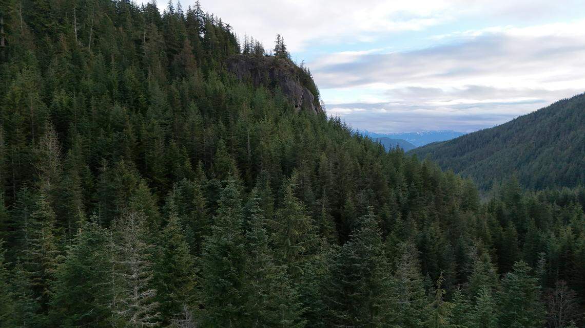 File photo of a forested area in British Columbia, Canada. Two hikers reported hearing someone’s cries near Boulderfields.
