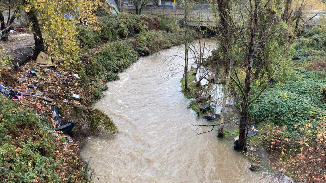 A person was seen floating on a cushion down Johnson Creek on Dec. 4 near Portland, fire officials said. Rescuers searched the area and couldn’t find any signs of them.