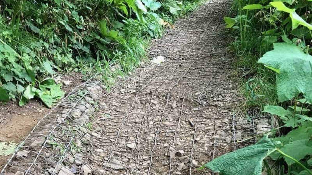 Wiring is seen pictured on a trail up Saddle Mountain in Oregon where a dog injured its paws.