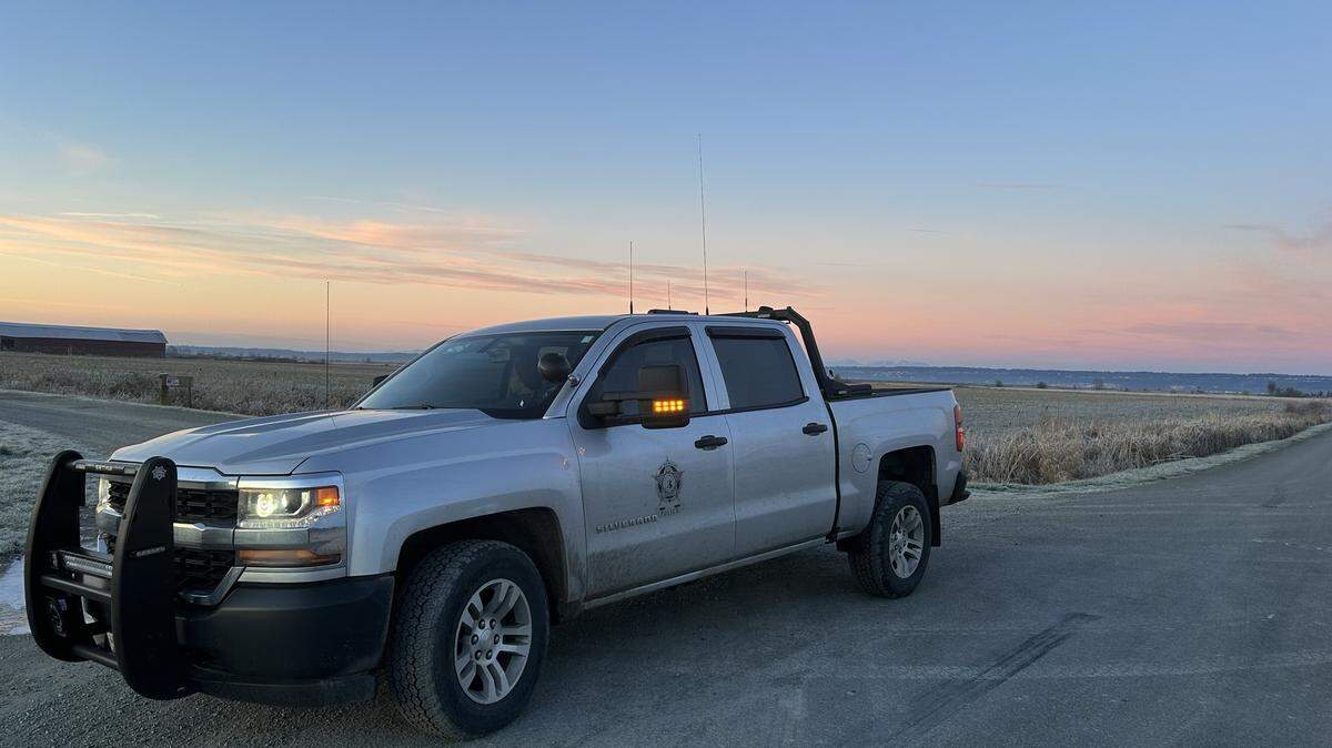 The three birds were taken to a wildlife rehabilitator.