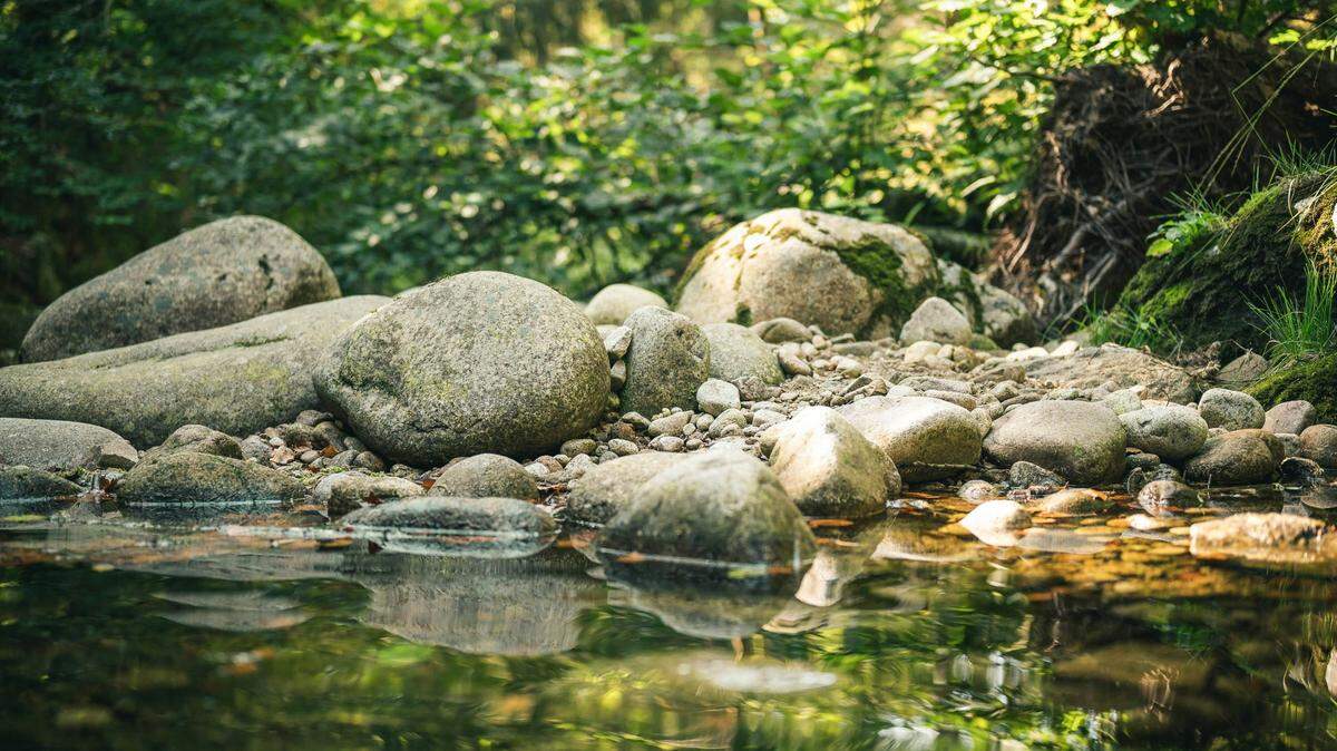 A blue northern leopard frog was found in water (not pictured) in Grant County, Washington, officials said. The discovery was rare.