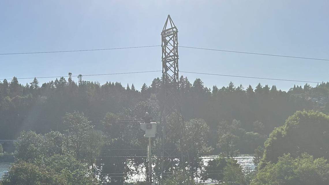 A person climbed this power line tower and was electrocuted May 15 in Portland, Oregon, rescuers said.
