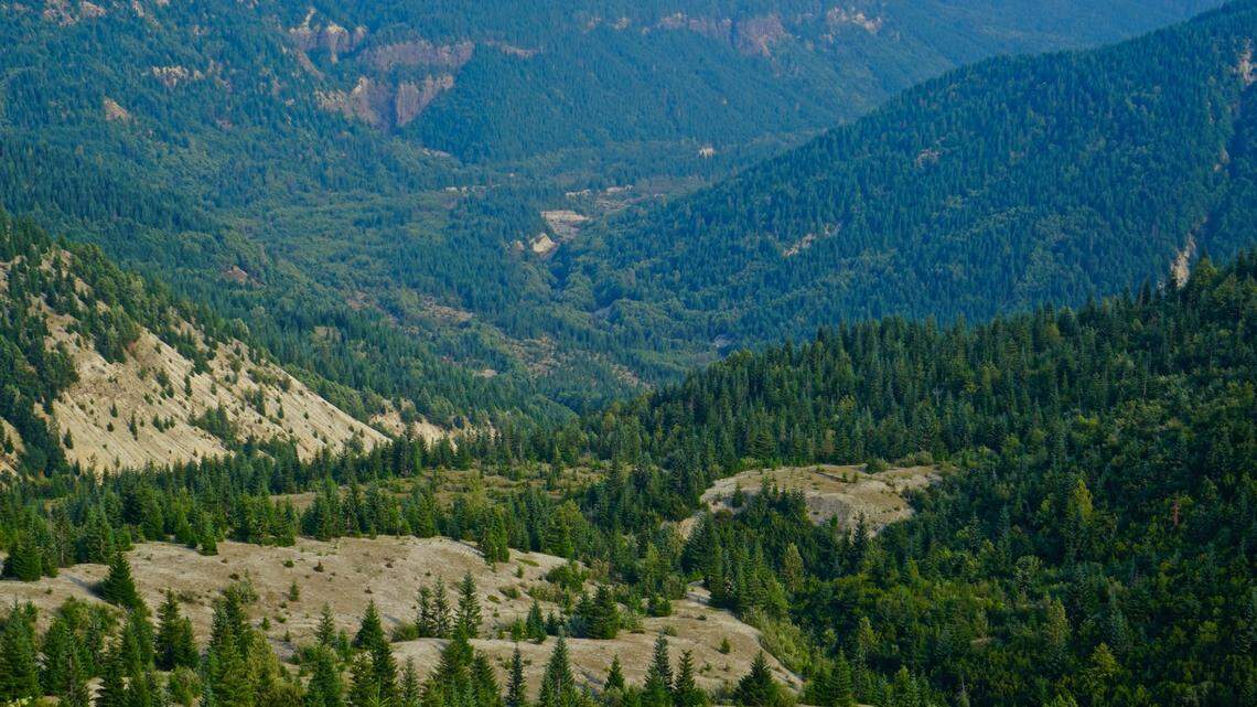A file photo of Gifford Pinchot National Forest in Skamania County, Washington. Human remains were found in a lava field within the forest.