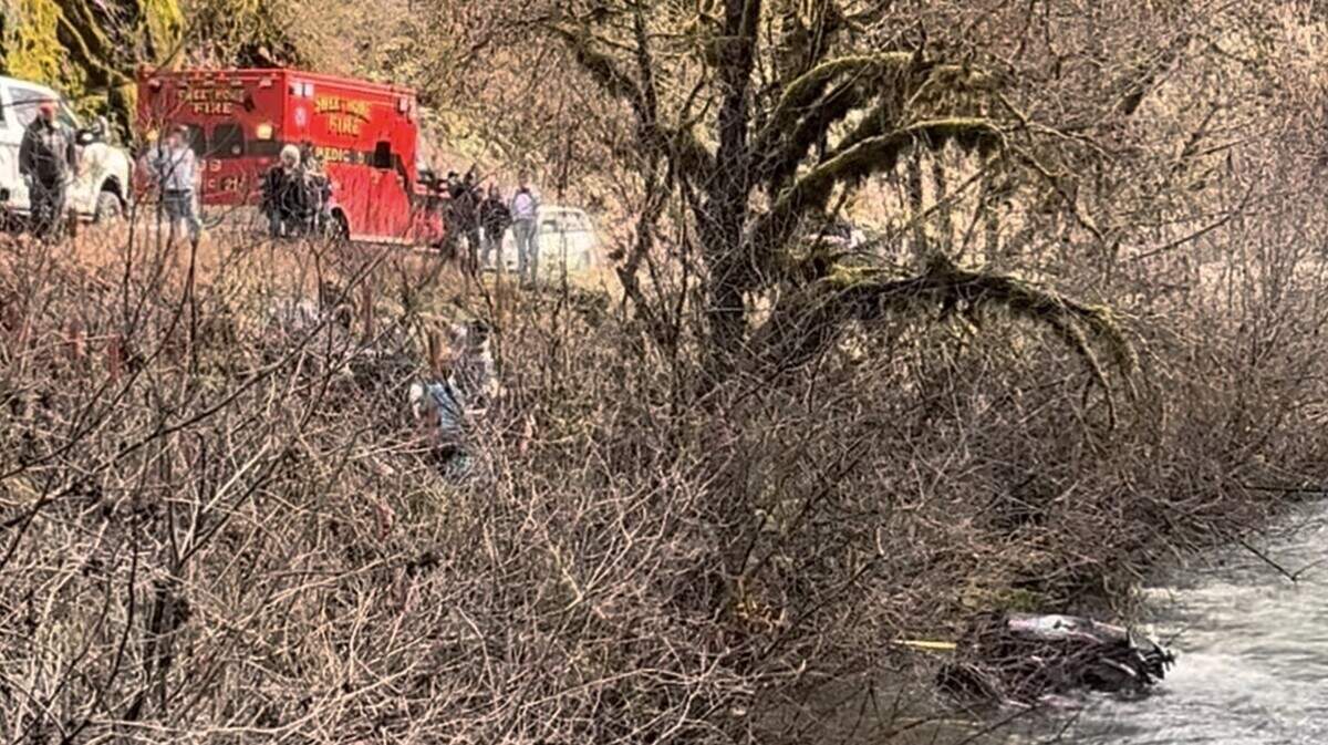 A driver went 30 feet off an embankment, hit a tree and crashed into a cold river in Oregon, officials said.