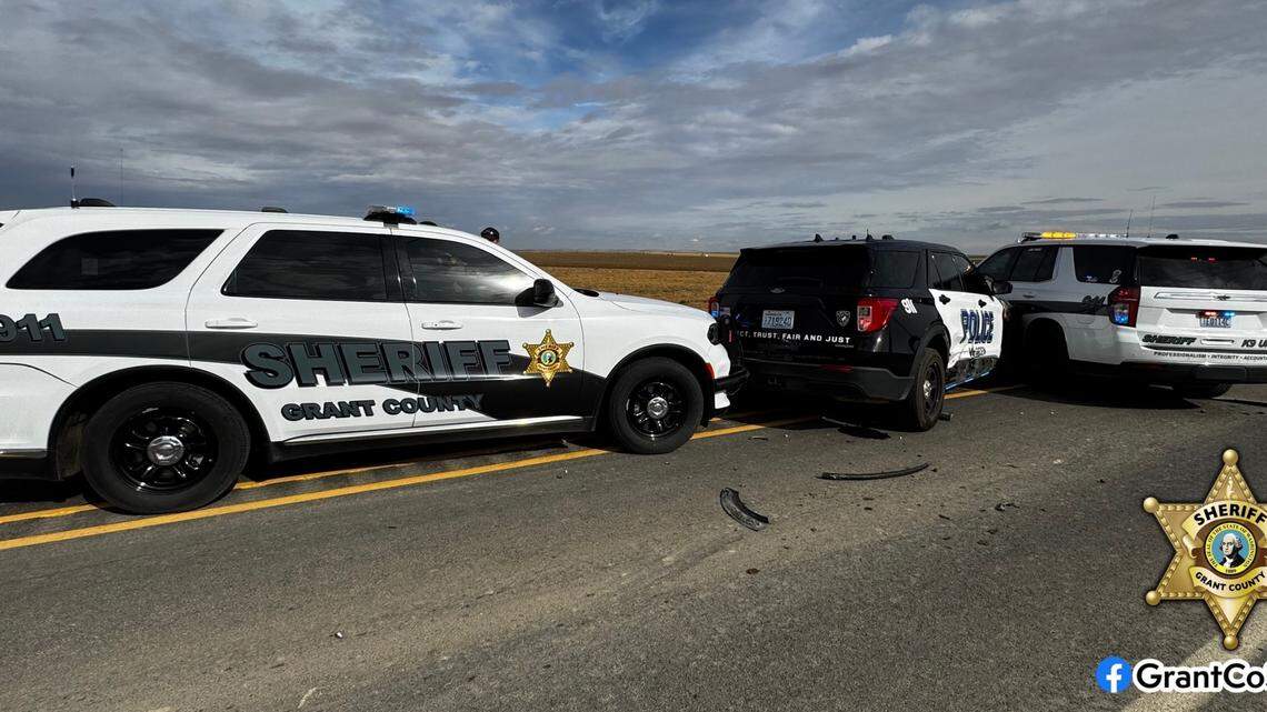 Deputies chased after a 21-year-old accused of stealing a police car in Washington.