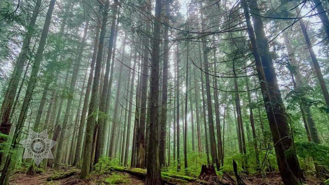 A 40-year-old man was lost in the Mount Hood National Forest, deputies said.