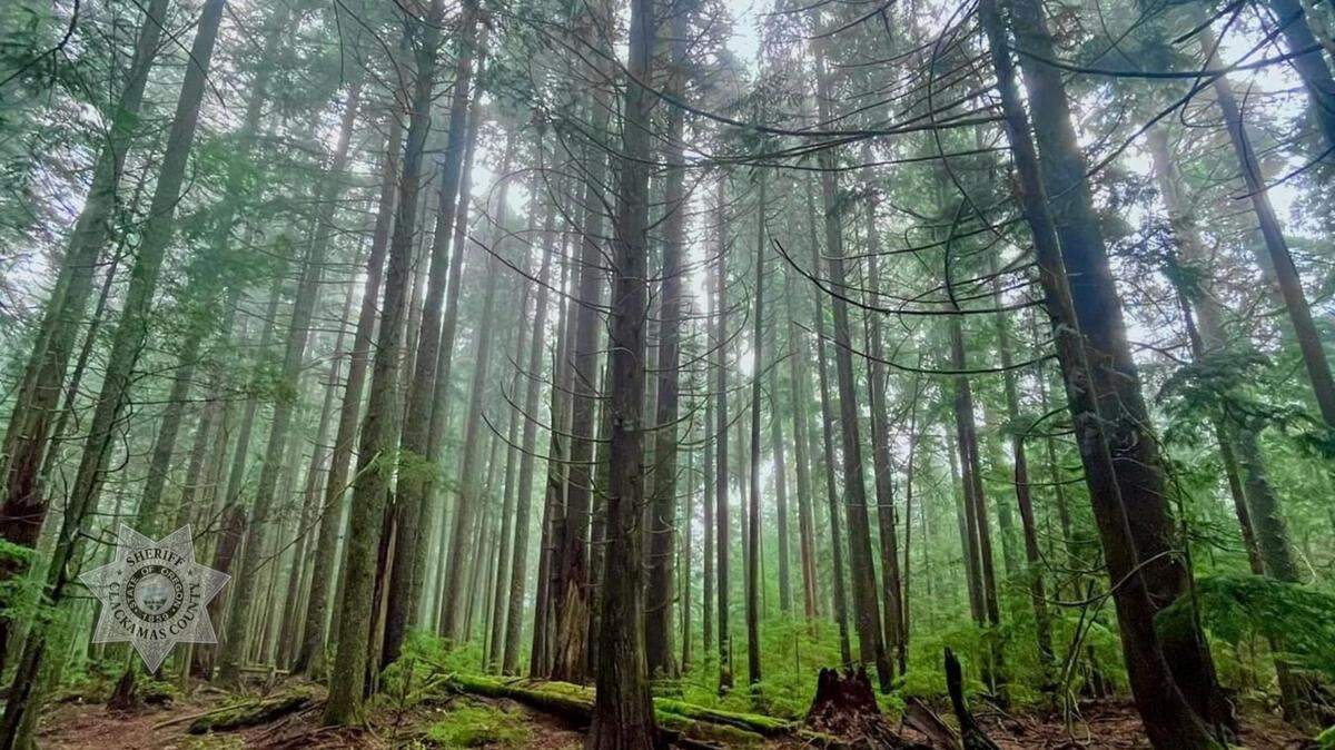 A 40-year-old man was lost in the Mount Hood National Forest, deputies said.
