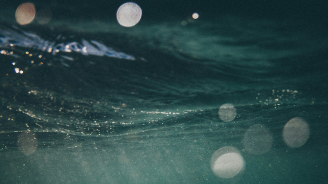 A video posted to Snapchat shows the oversized sturgeon snatched from the protected sanctuary, Oregon cops say.