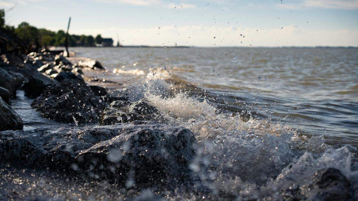 A file photo of the coastline. Humans can safely touch sea anemones without being poisoned.