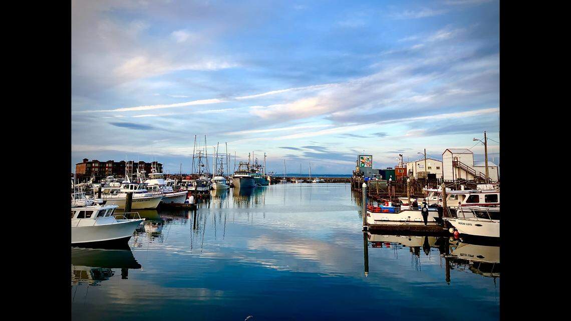 The catch off Westport shattered the state record from 2013, according to the Washington Department of Fish and Wildlife.