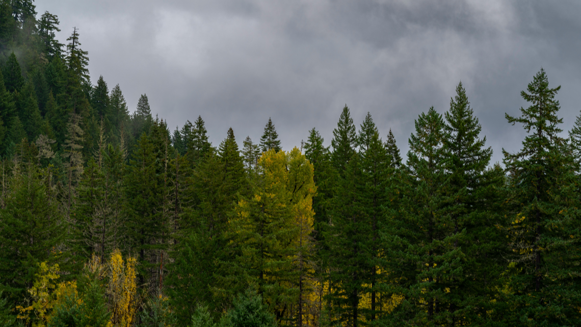 John Hopkins, 69, of Seattle, was first reported missing in November 2022, deputies say.