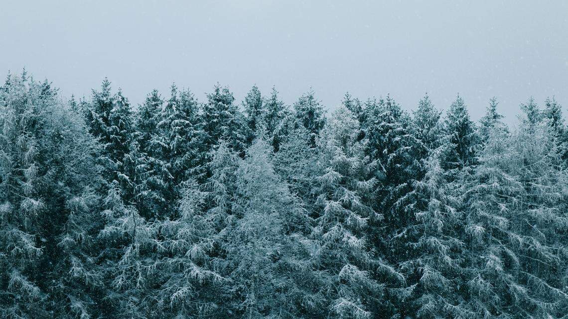 The Lake Oswego teen went off-trail while snowmobiling near Elk Lake and crashed into a tree.