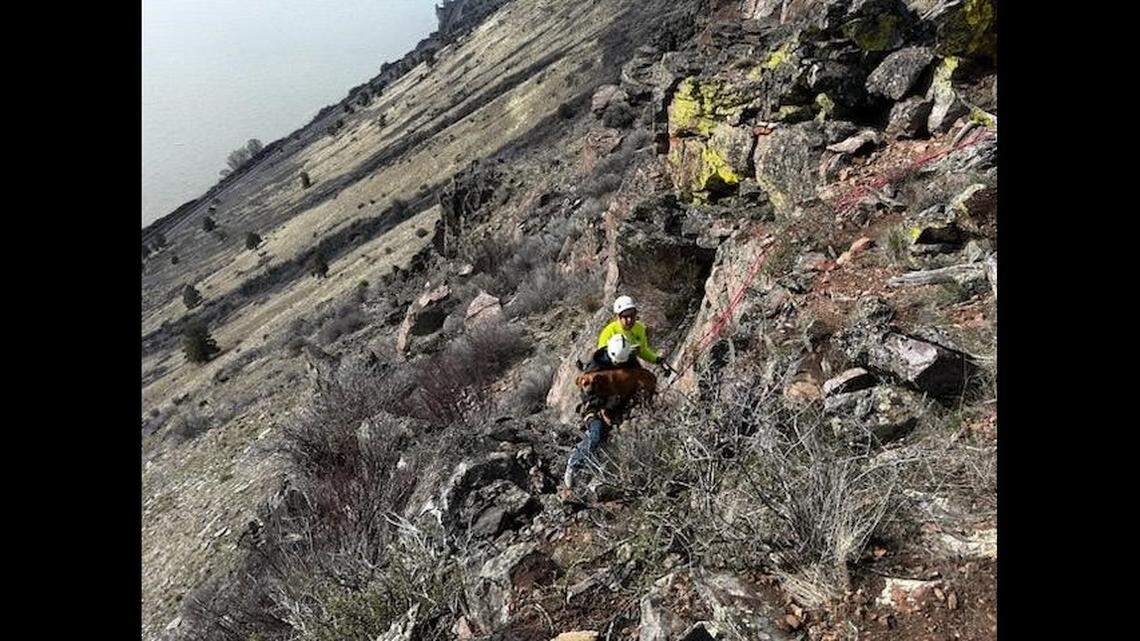 A teen got stranded “near the top of Hagelstein Ridge above Highway 97” trying to rescue his family’s lost dog.