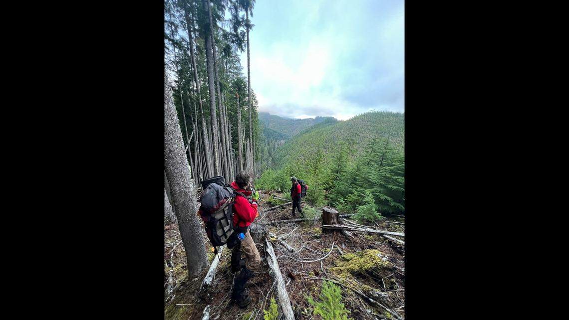 A 77-year-old mushroom hunter was found near a creek Nov. 23 near Philomath, Oregon, after being reported missing the previous day.