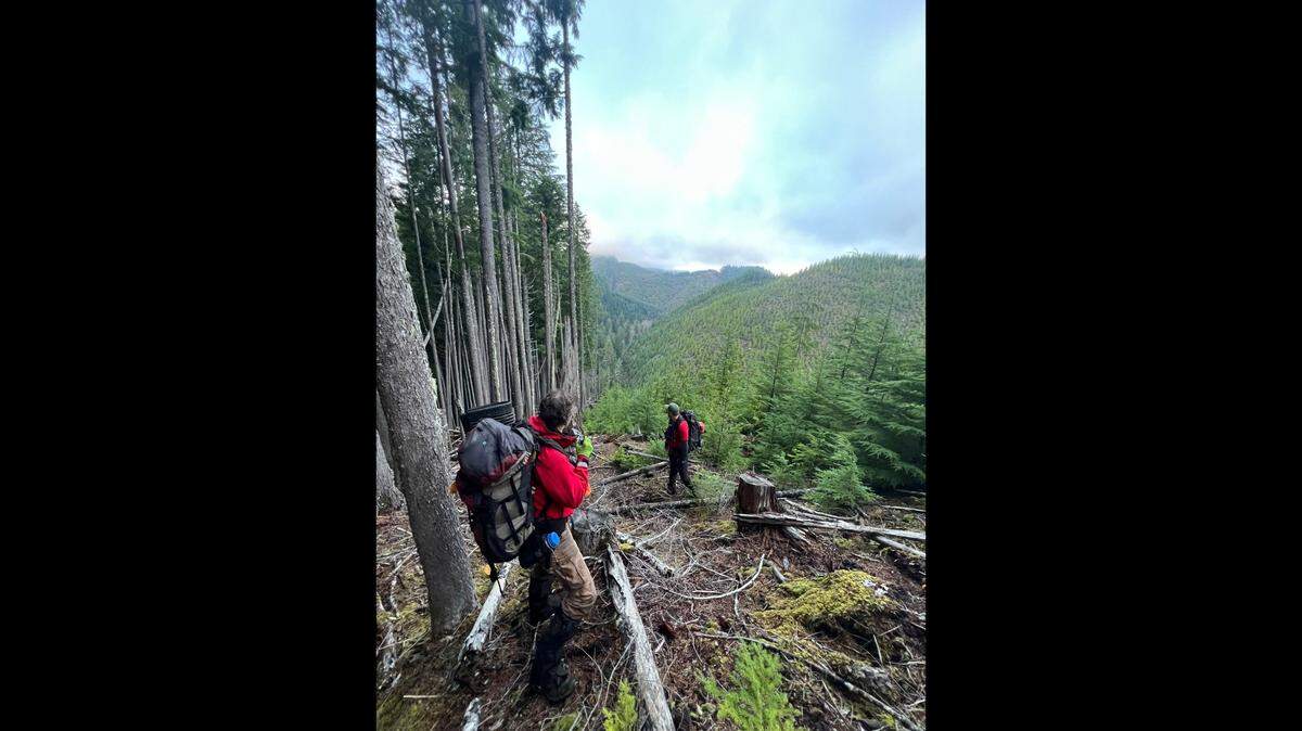 A 77-year-old mushroom hunter was found near a creek Nov. 23 near Philomath, Oregon, after being reported missing the previous day.