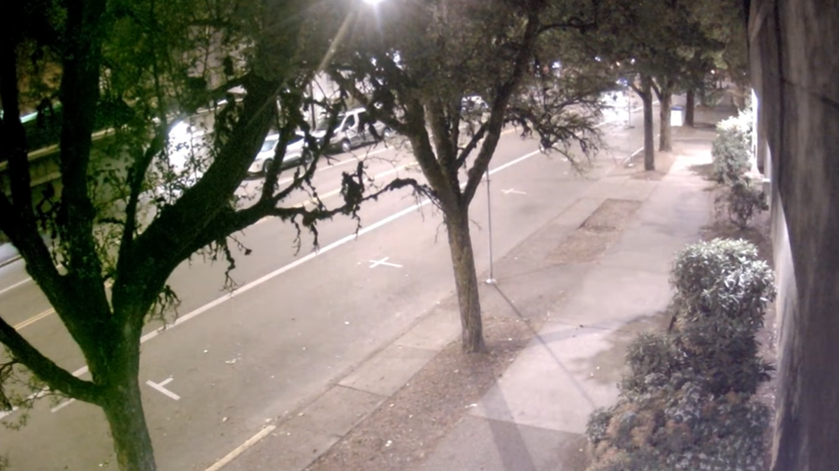 A black bear was captured on camera running across a street April 21 in Corvallis, Oregon. It was then seen a few more times in the city.