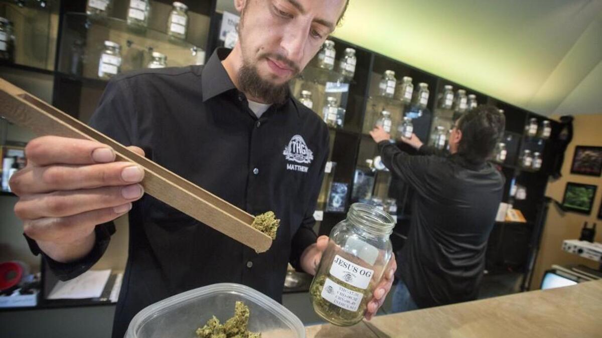 Store manager Matthew Torres measures out marijuana on a scale at the Herbal Garden in Tacoma on Wednesday, Aug. 12, 2015.