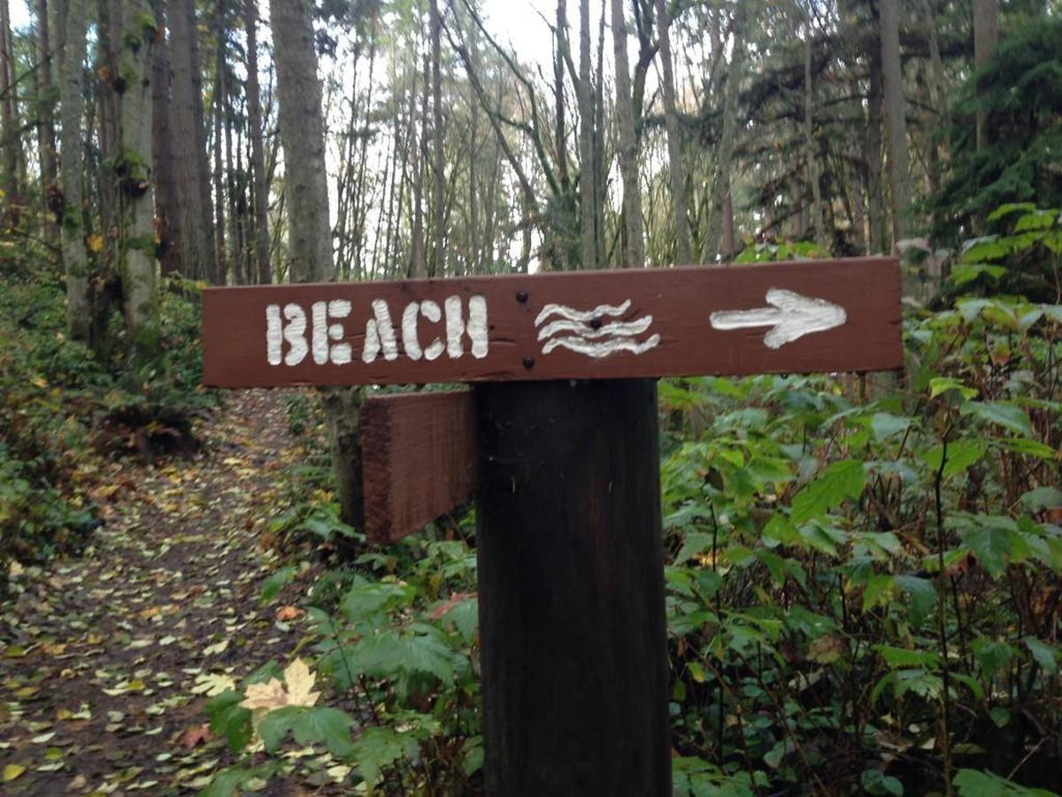 A sign points the way to Puget Sound at Dash Point State Park.