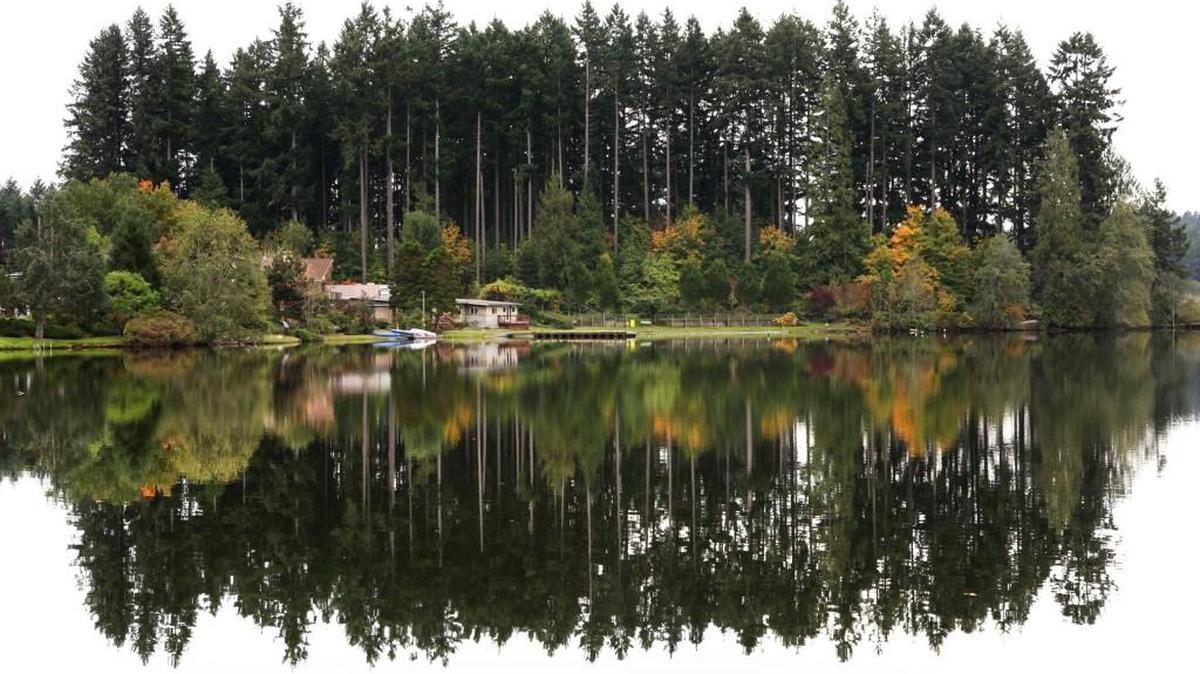 Deep Lake at Millersylvania State Park in Thurston County. The county advised residents to avoid the lake due to a toxic algae bloom, according to Tuesday, Sept. 28, 2021 advisory.