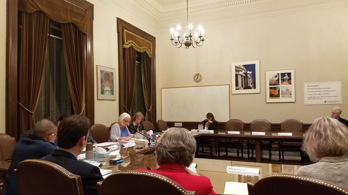 The Senate’s Facilities and Operations Committee meets Tuesday, Nov. 14 in the state legislative building. The committee approved changes aimed to boost the Senate’s response to preventing and dealing with sexual harassment and inappropriate behavior.