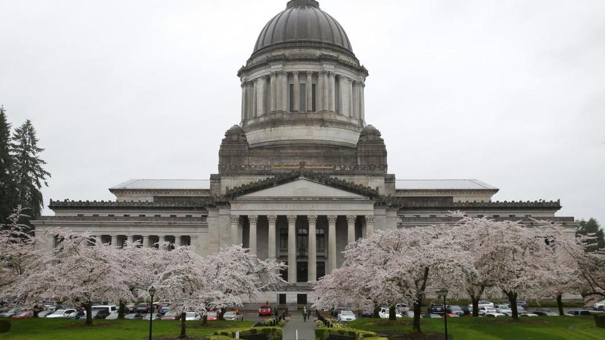 Pedestrians walk in the rain near the Legislative Building on March 28 at the Capitol in Olympia as cherry trees display spring blossoms.
