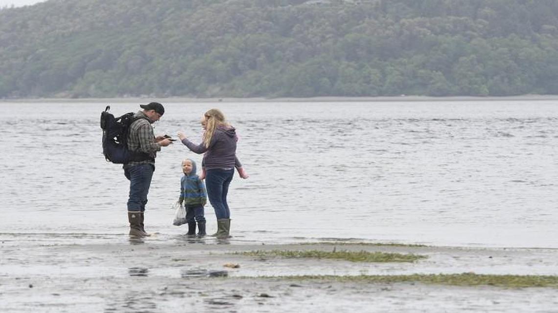 Melanie Tomco, right, with her children, Noah, 3, and June, 1, look at sea life from her husband, Jeremiah, during Fee Free Day at Washington State Parks on Mother’s Day 2016 at Dash Point State Park in Federal Way. The state Parks Department had to layoff 10 employees on Oct. 1, 2017, because of a lack of a capital budget.