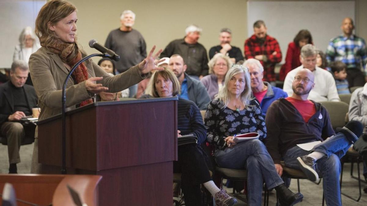 Ellen Moore resigned from the Sustainable Tacoma Commission in January out of frustration with what she perceived as a lack of information about the proposal that would bring a methanol plant to the Port of Tacoma. She wants the environmental advisory commission to have more responsibility in evaluating development. Photo taken in Tacoma on Thursday, Jan. 28, 2016.