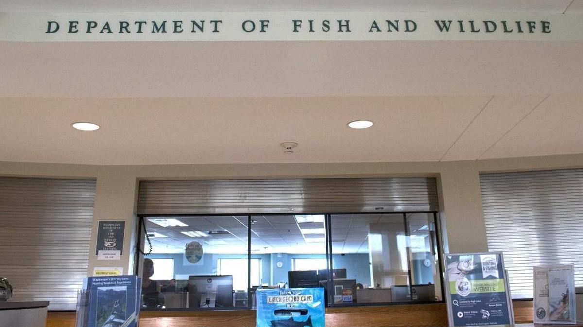 The Washington Department of Fish & Wildlife offices in the Department of Natural Resources building on the Captiol Campus in Olympia on Wednesday, Aug. 2, 2017.