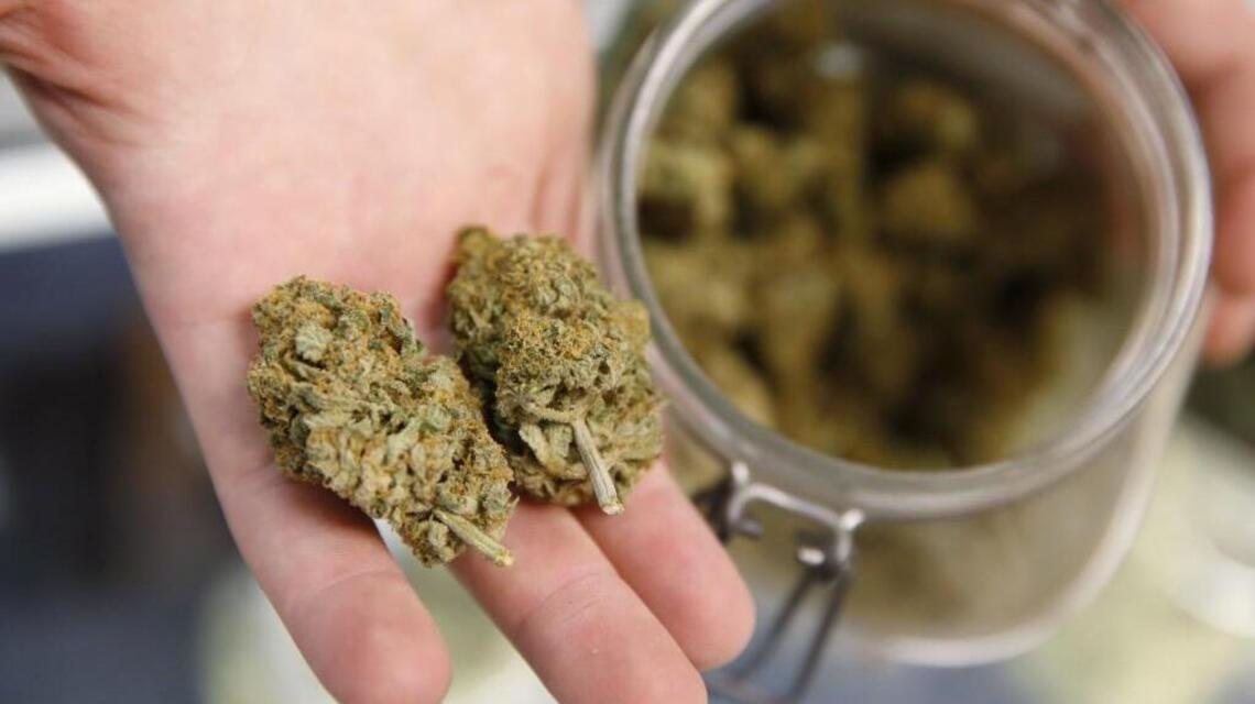 Tacoma City Council may place new pot shops on hold