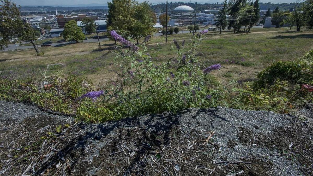 The city of Tacoma sold a 6-acre parcel between 21st and 23rd streets for a mixed-use development in June to a Chinese developer.