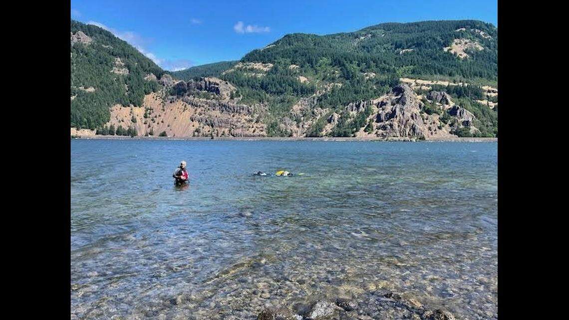 A missing paddleboarder was found dead in 15-feet of water, Washington deputies said.