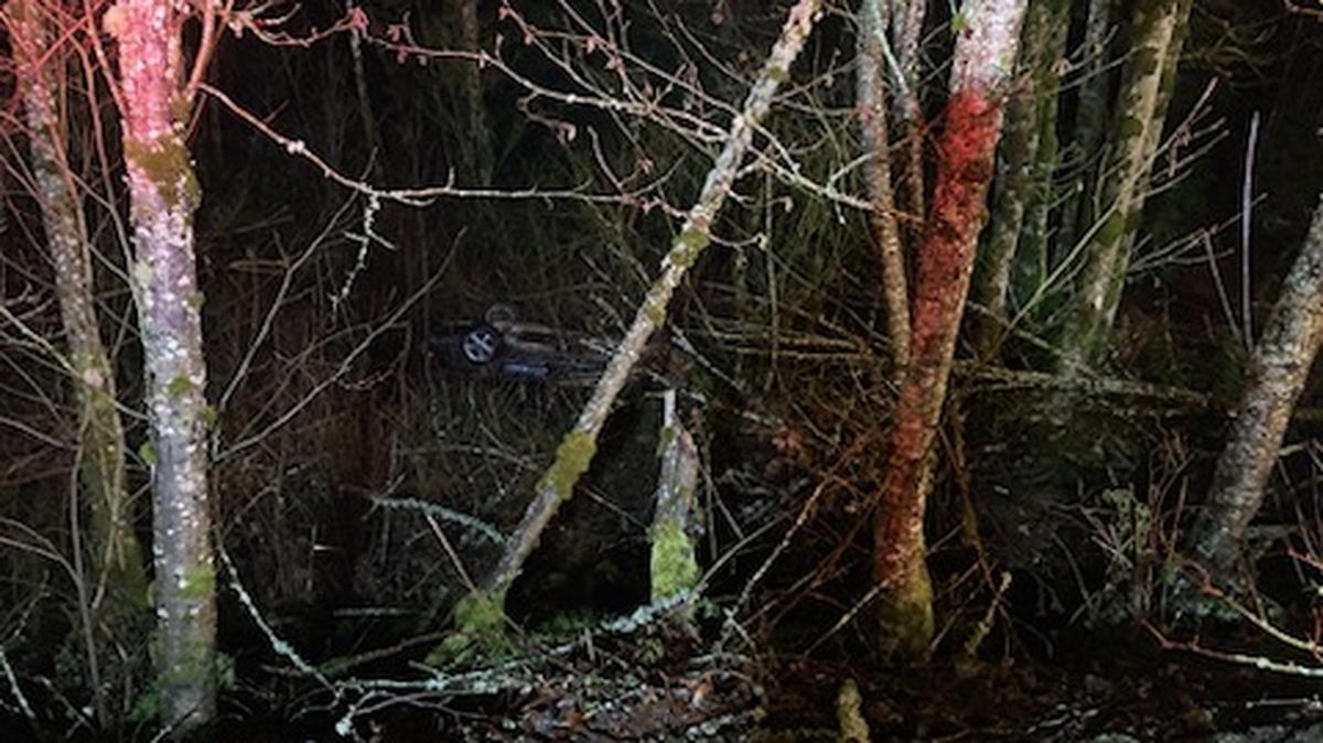 A man was found trapped inside his vehicle Feb. 12 after driving it down an embankment near Woodinville, Washington, fire officials said.