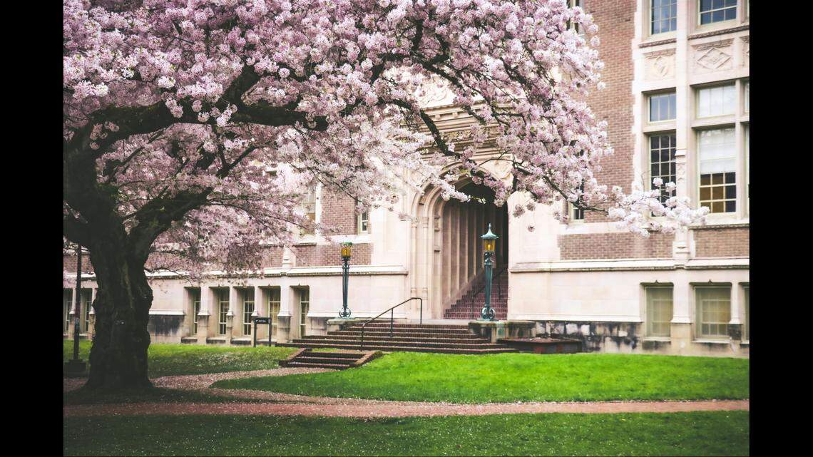 The University of Washington’s Seattle campus is shown.