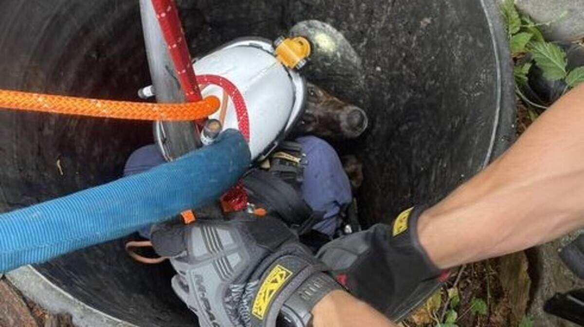 A technical rescue team helped a dog trapped in a well in Washington, fire officials said.