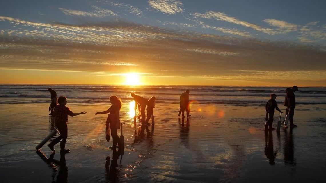 Clammers hit the low-tide line as they search for razor clams on the beach near Grayland State Park in 2015. A study found state beaches eroded at a record pace last year.