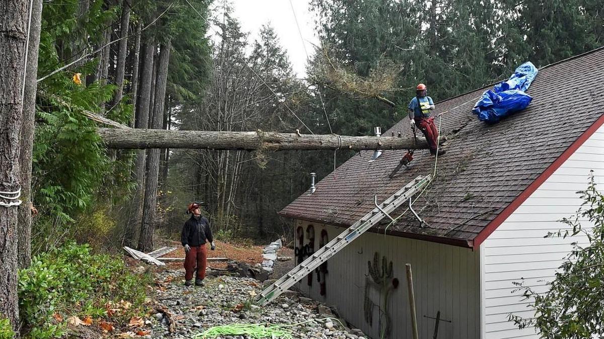 In this file photo, Joe Phelan, left, and Mitch Chapman remove a fallen tree last year from a roof in Olympia.